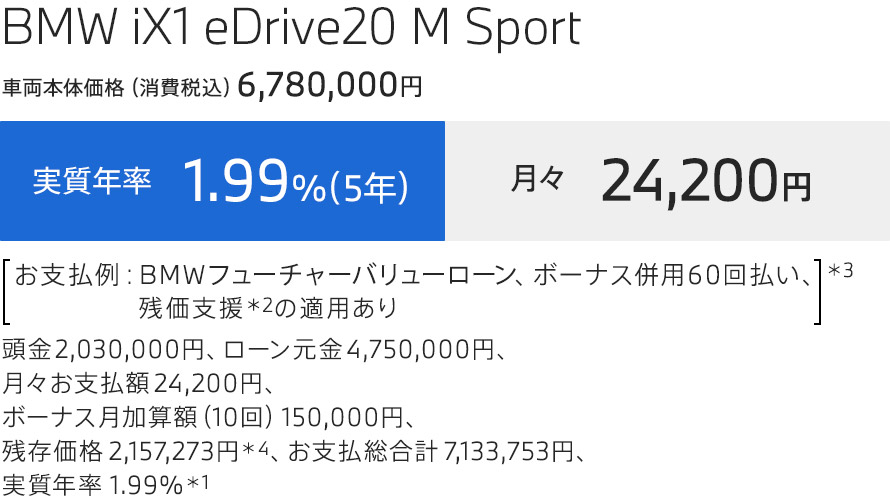 iX1 支払例