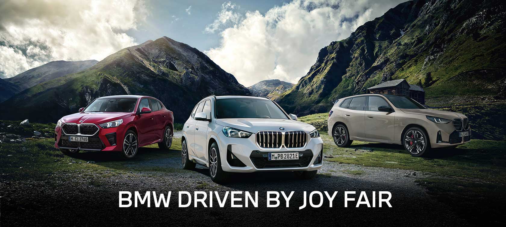 BMW 'WHAT'S YOUR JOY?' FAIR